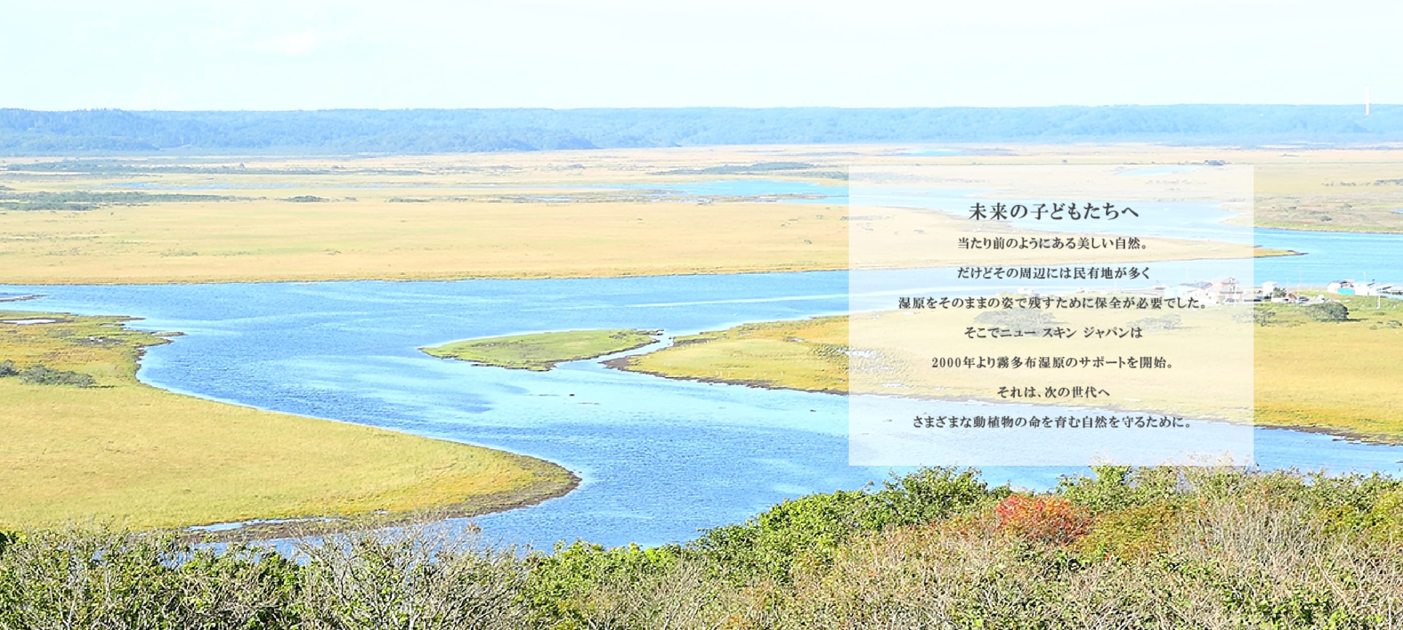 霧多布湿原ナショナルトラストへの支援を継続