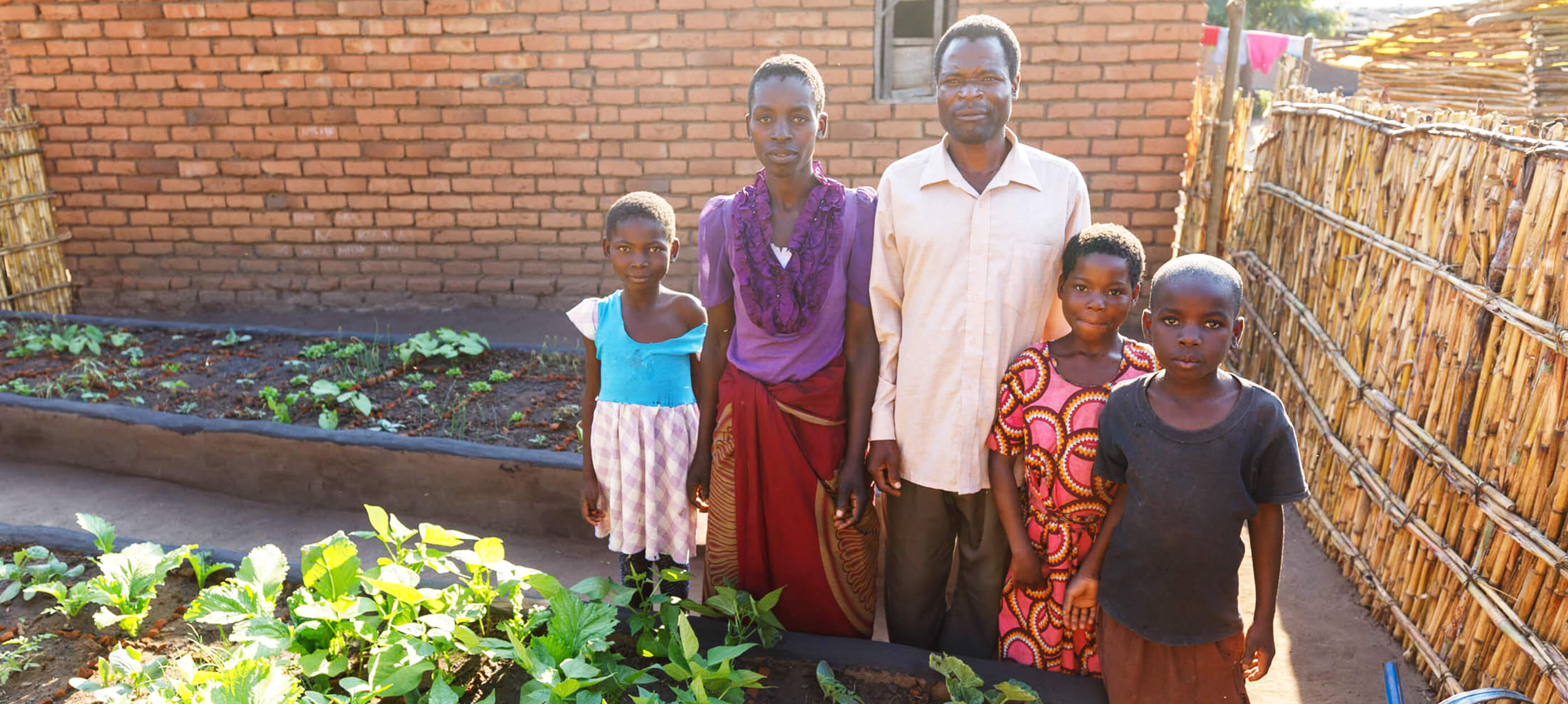 マラウイへの農業教育支援レポート 2019-2020